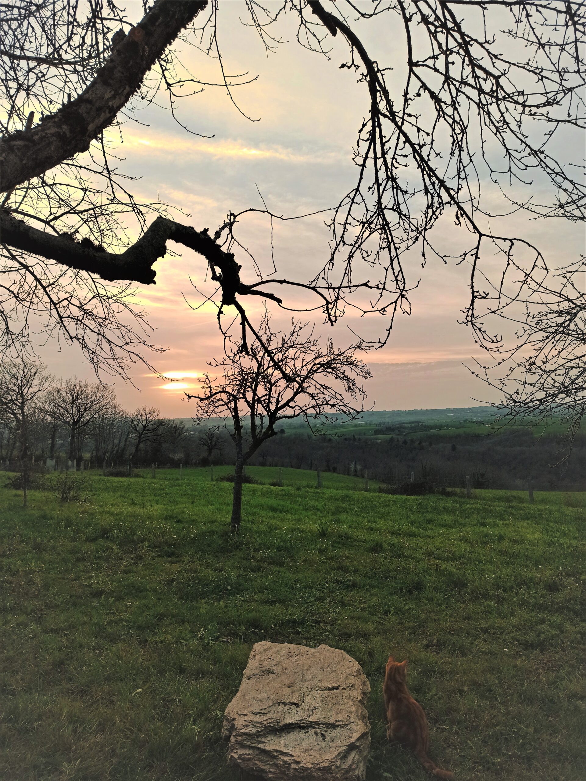 paysage